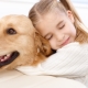 Kutyák gyerekeknek: fajták leírása és kiválasztása