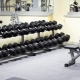 Dumbbell Racks: ความหลากหลายและแนวทางการเลือก