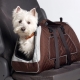 Bag care transportă câini de rase mici