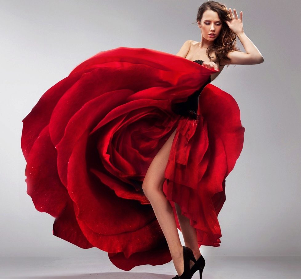Chân váy xòe họa tiết hoa hồng  My Way Fashion  Thời trang thiết kế cao  cấp