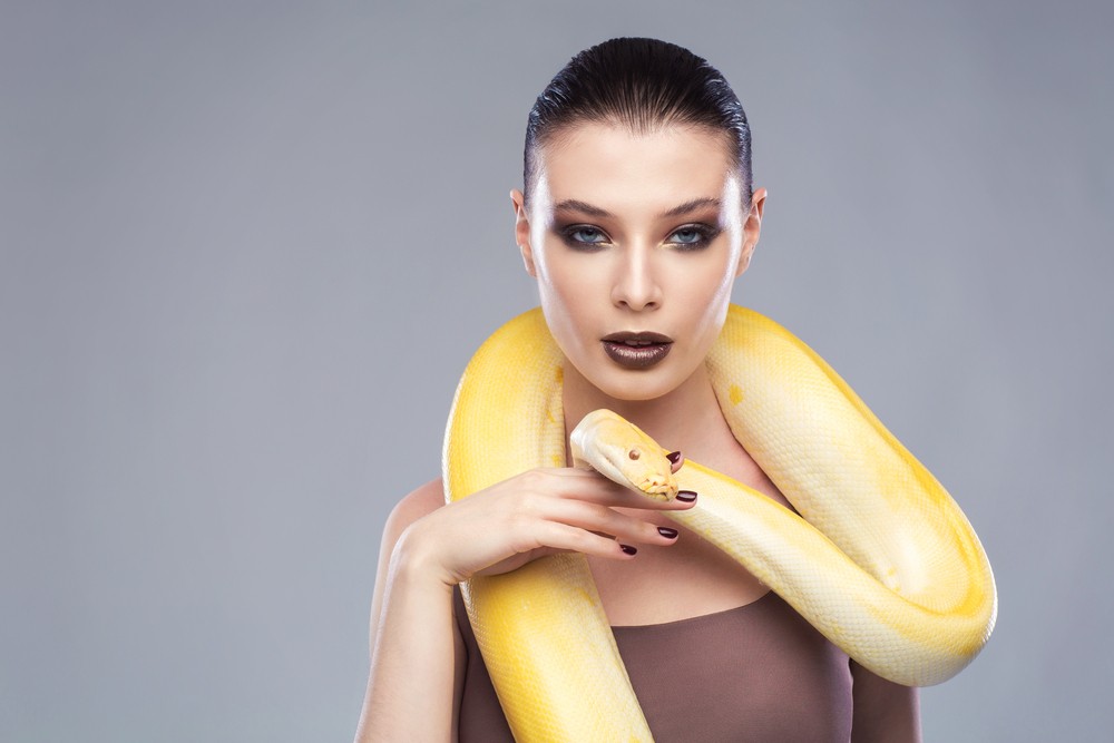 Capricorn Snake (13 photos) the characteristic of a woman and the