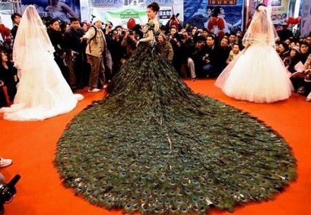 Elegantní Peacock peří šaty