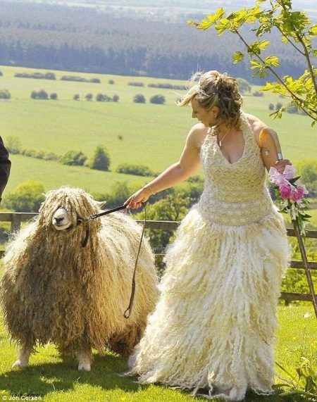 Gaun pengantin yang diperbuat daripada bulu
